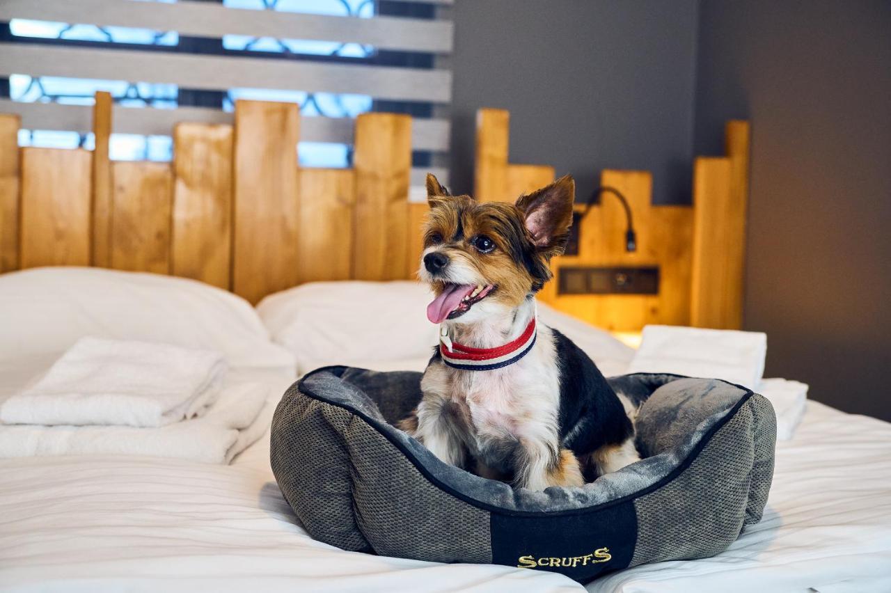Wellness Hotel Liberecka Vysina Dış mekan fotoğraf
